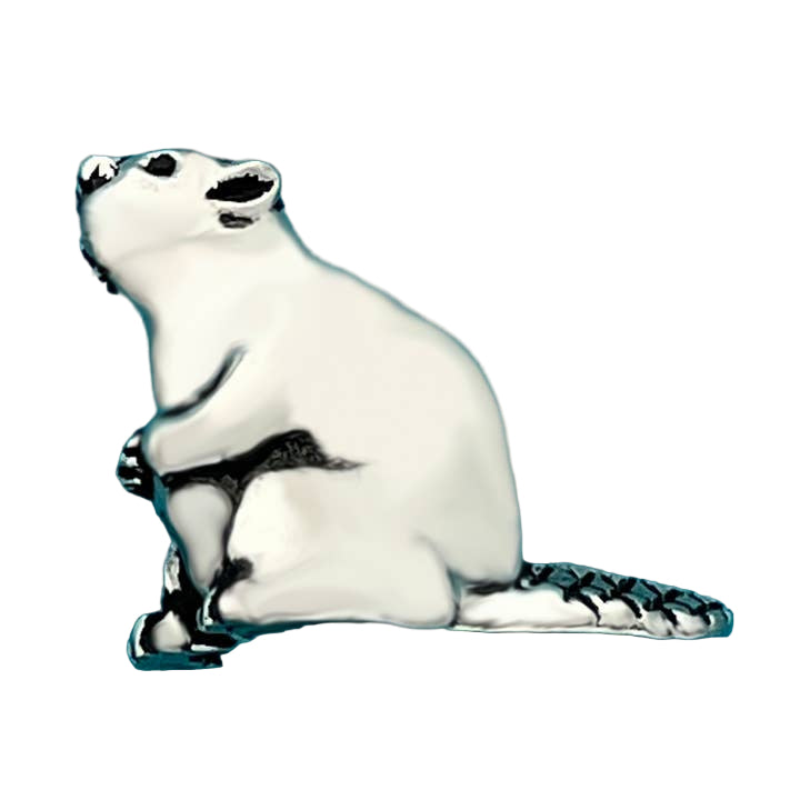 Silver beaver charm on a blue background
