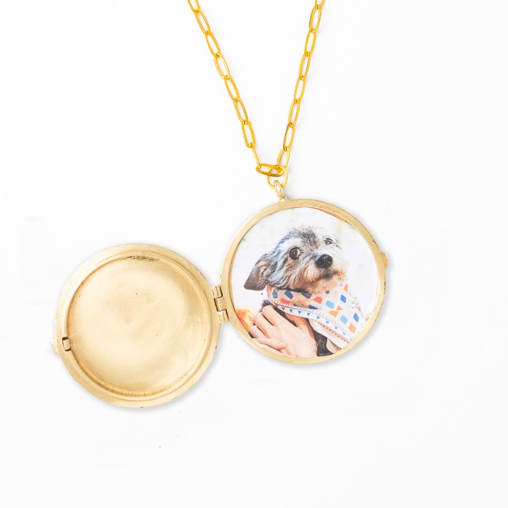 Gold locket necklace with a photo of a dog on a white background
